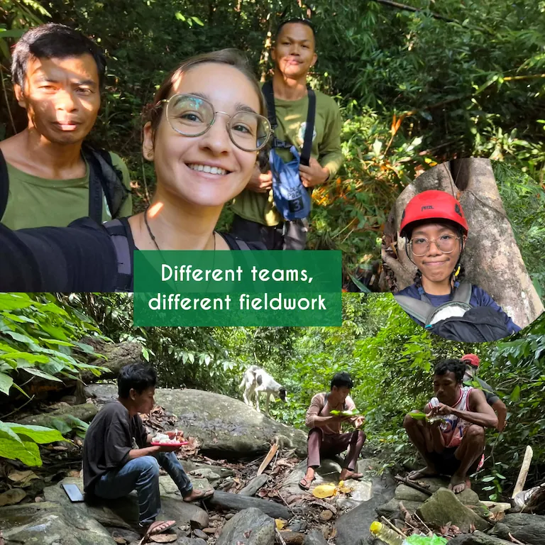 Different teams, different fieldwork